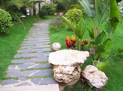 cây cảnh đẹp | lua-chon-nha-vuon-3