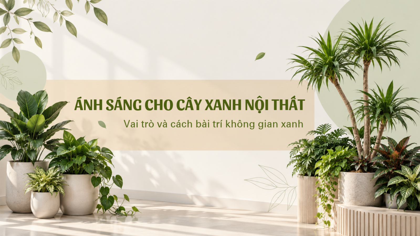 ÁNH SÁNG CHO CÂY XANH NỘI THẤT: VAI TRÒ VÀ CÁCH BÀI TRÍ KHÔNG GIAN XANH