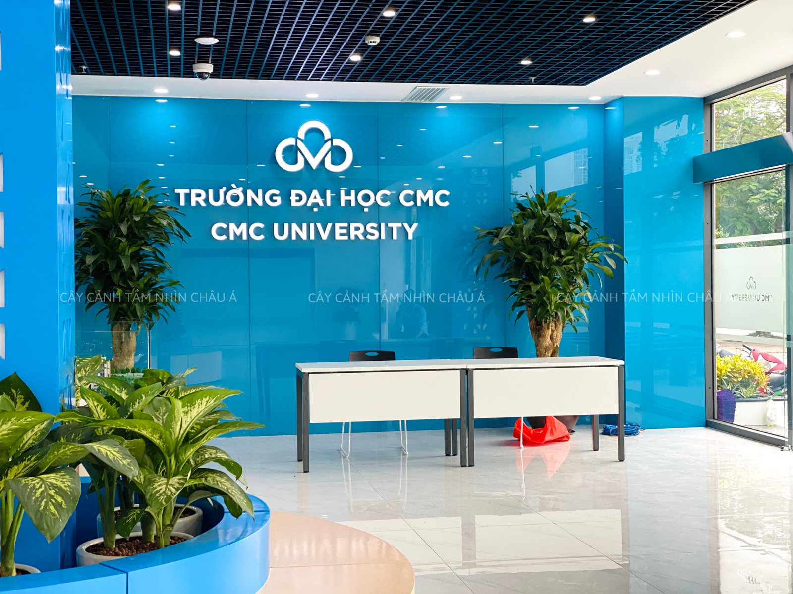 CÂY XANH TẠI TRƯỜNG ĐẠI HỌC CMC