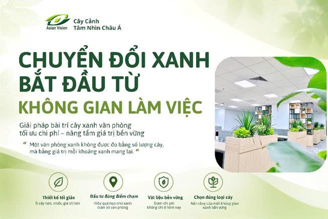 CHUYỂN ĐỔI XANH BẮT ĐẦU TỪ KHÔNG GIAN LÀM VIỆC: GIẢI PHÁP BÀI TRÍ CÂY XANH VĂN PHÒNG TỐI ƯU CHI PHÍ, NÂNG TẦM GIÁ TRỊ BỀN VỮNG
