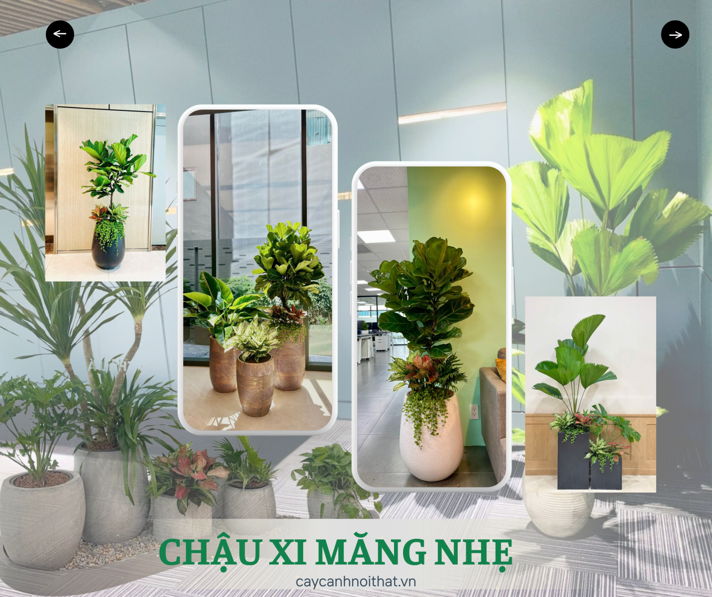 CHẬU XI MĂNG NHẸ - VẺ ĐẸP HIỆN ĐẠI HÒA NHỊP MỌI KHÔNG GIAN