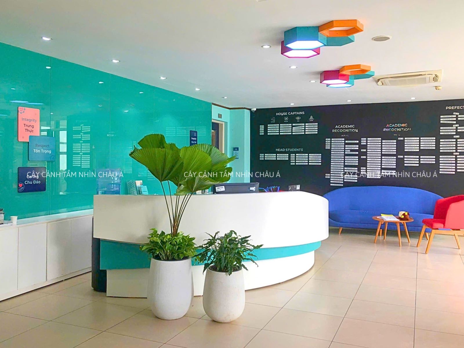 SET UP KHÔNG GIAN XANH TẠI TRƯỜNG BVIS