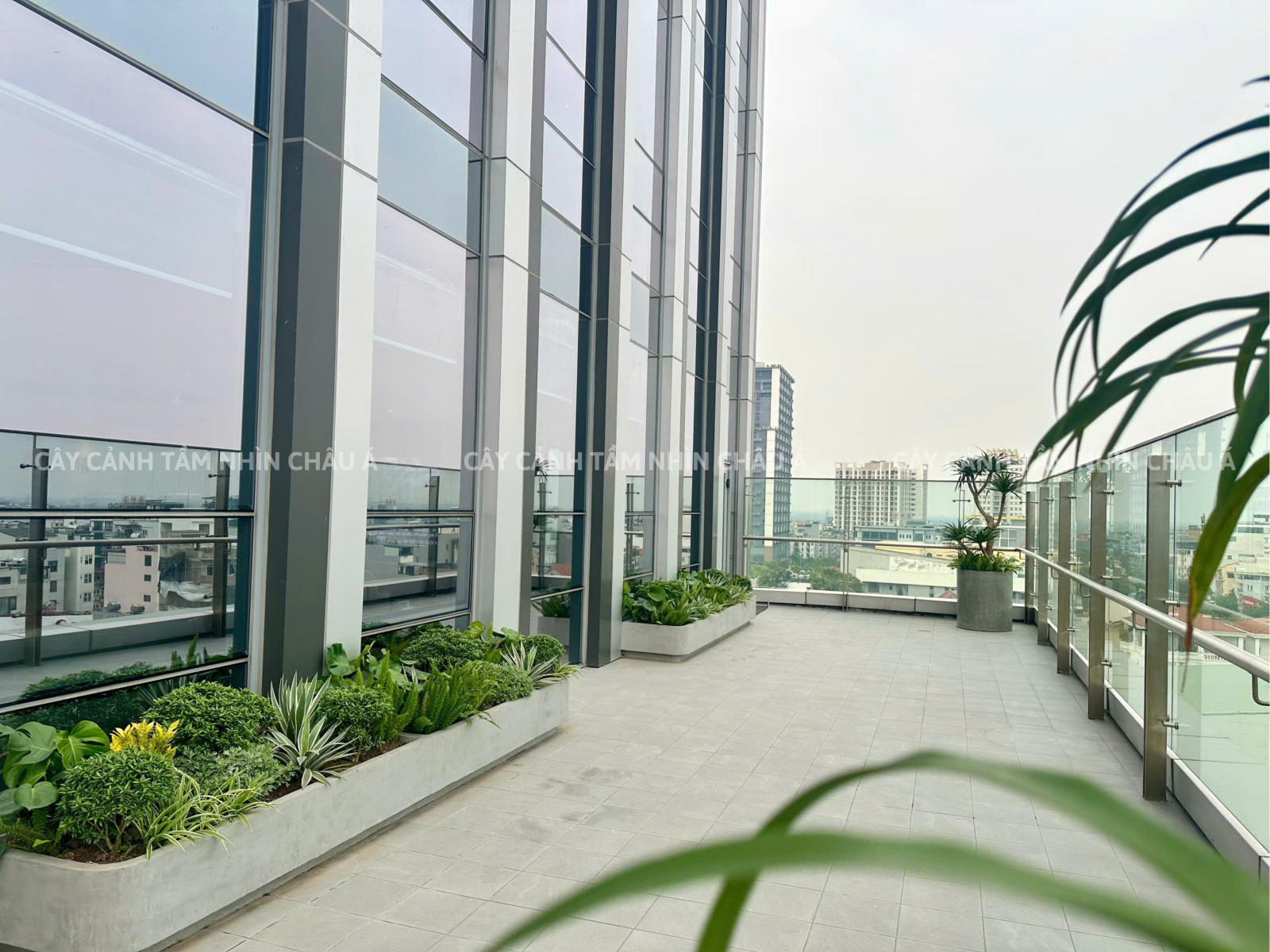 CẢNH QUAN CÂY XANH LIXIL