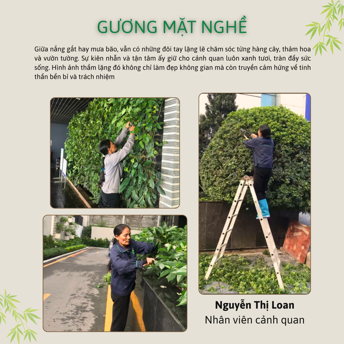 CHỊ NGUYỄN LOAN - NGƯỜI PHỤ NỮ GIẢN DỊ, BỀN BỈ VÀ TRÀN ĐẦY TÌNH YÊU VỚI CÂY XANH