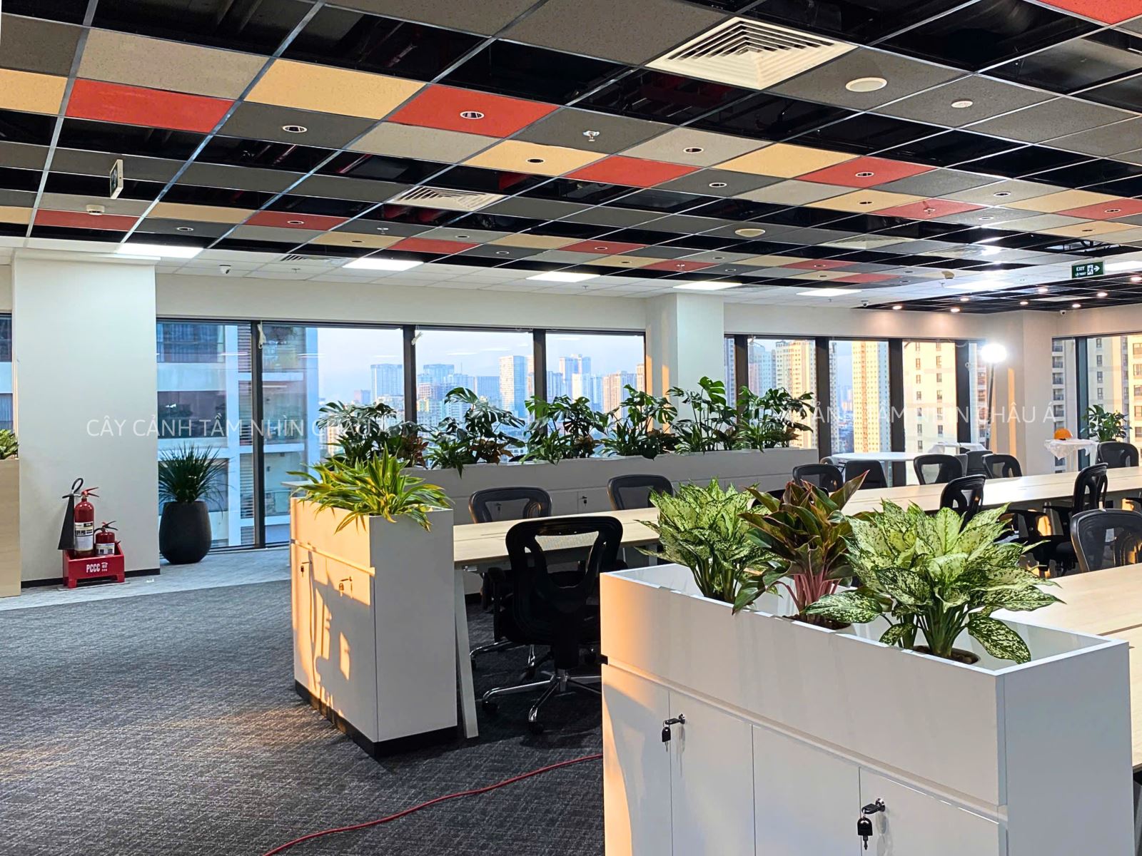 SET UP KHÔNG GIAN XANH TẠI HONDA