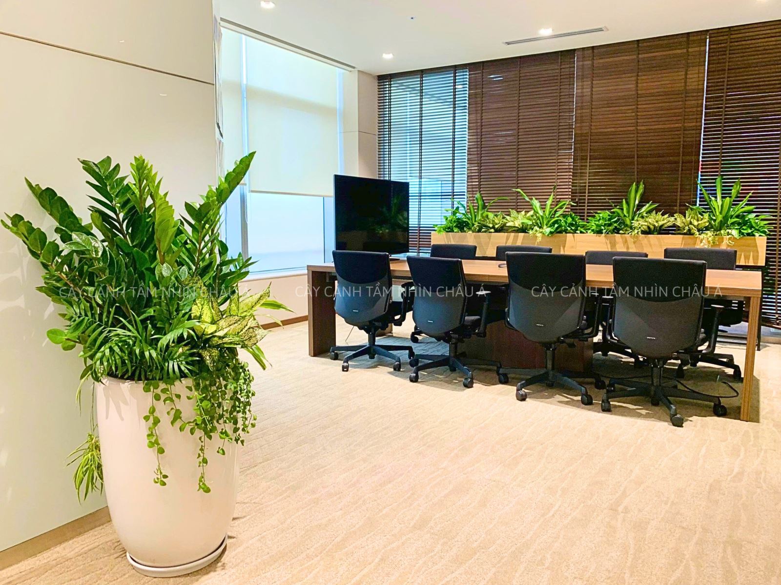 Nâng cao chất lượng không gian làm việc với cây xanh