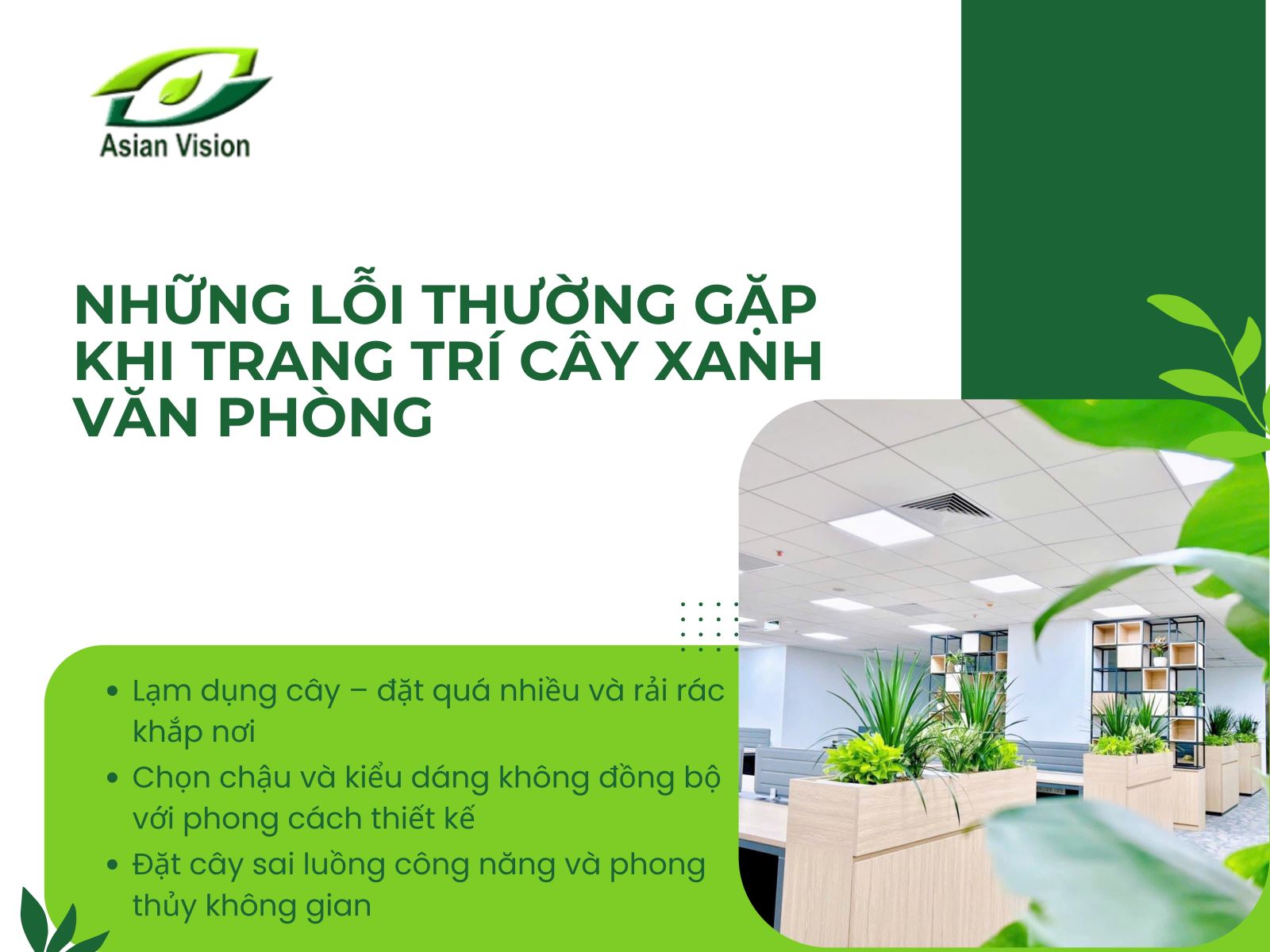 NHỮNG LỖI THƯỜNG GẶP KHI TRANG TRÍ CÂY XANH CHO VĂN PHÒNG