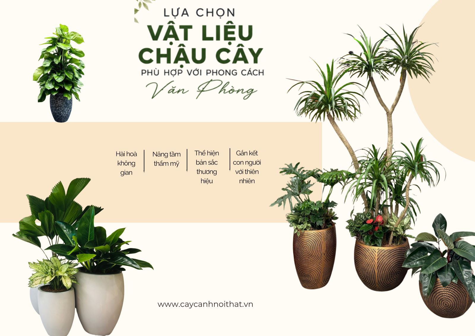 LỰA CHỌN VẬT LIỆU CHẬU CÂY PHÙ HỢP VỚI PHONG CÁCH VĂN PHÒNG