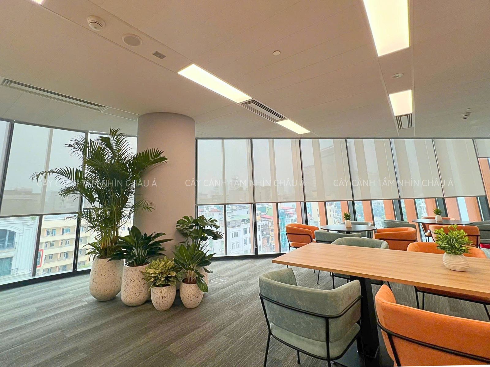 KHÔNG GIAN XANH TẠI KHÁCH HÀNG AMAZON