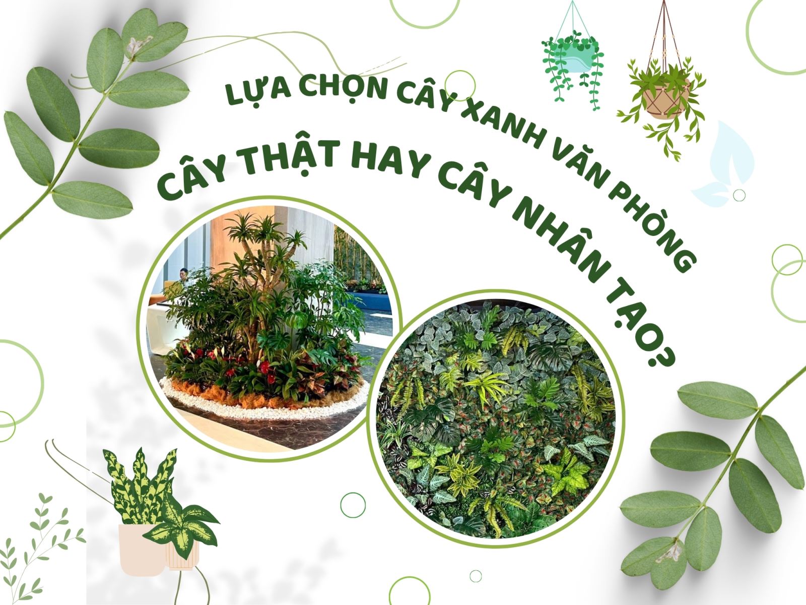Cây thật hay cây nhân tạo? Bí quyết tạo không gian văn phòng xanh, hiện đại, sinh động