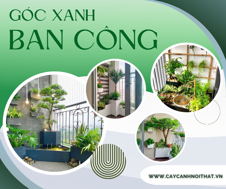 Thiết kế văn phòng xanh phần 1