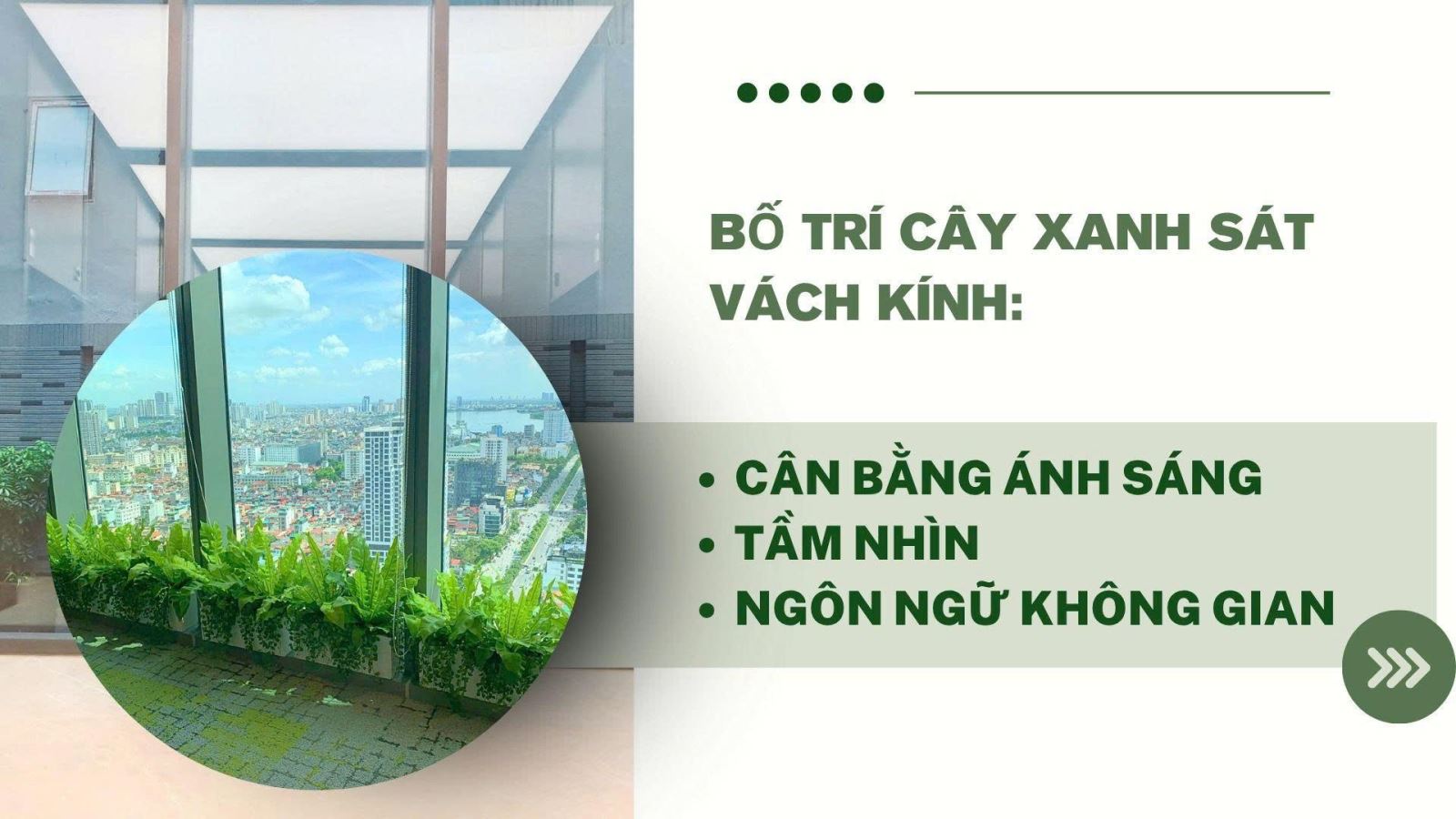 CHUYỂN ĐỔI XANH BẮT ĐẦU TỪ KHÔNG GIAN LÀM VIỆC: GIẢI PHÁP BÀI TRÍ CÂY XANH VĂN PHÒNG TỐI ƯU CHI PHÍ, NÂNG TẦM GIÁ TRỊ BỀN VỮNG